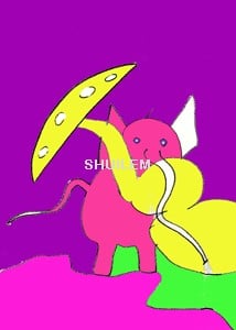 Le champignon le parasol et l'éléphant