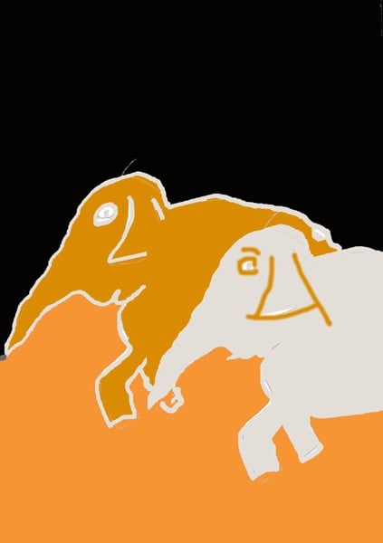 L'éléphant dans la nuit