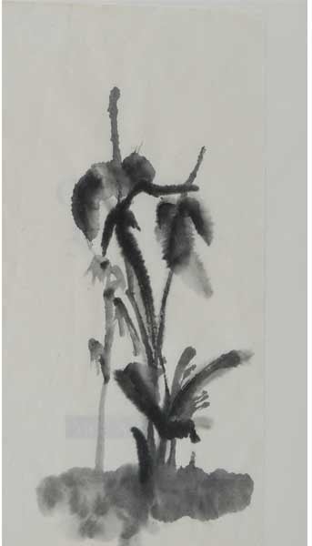 Fleur de printemps