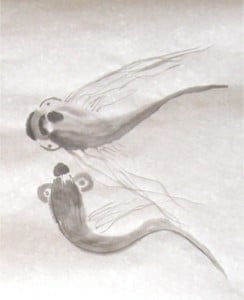 les poissons amoureux