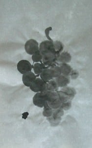les raisins du soleil couchant