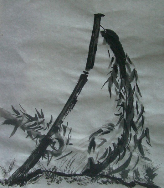 Dessin encre de chine Shuilem 2024 Le bambou a la branche cassée