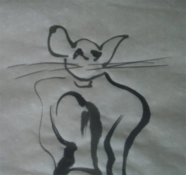 Le chat en forme