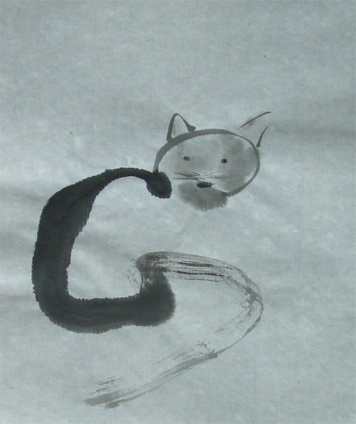 Le chat dans l'attente de la nuit