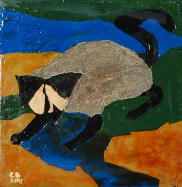 Le chat qui joue avec l'eau